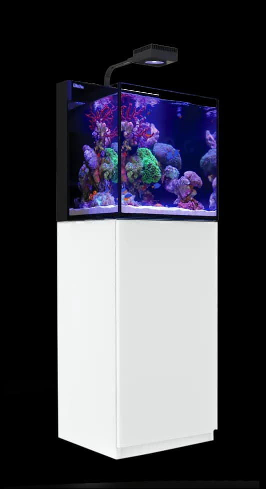 MAX NANO G2 cube with white cabinet